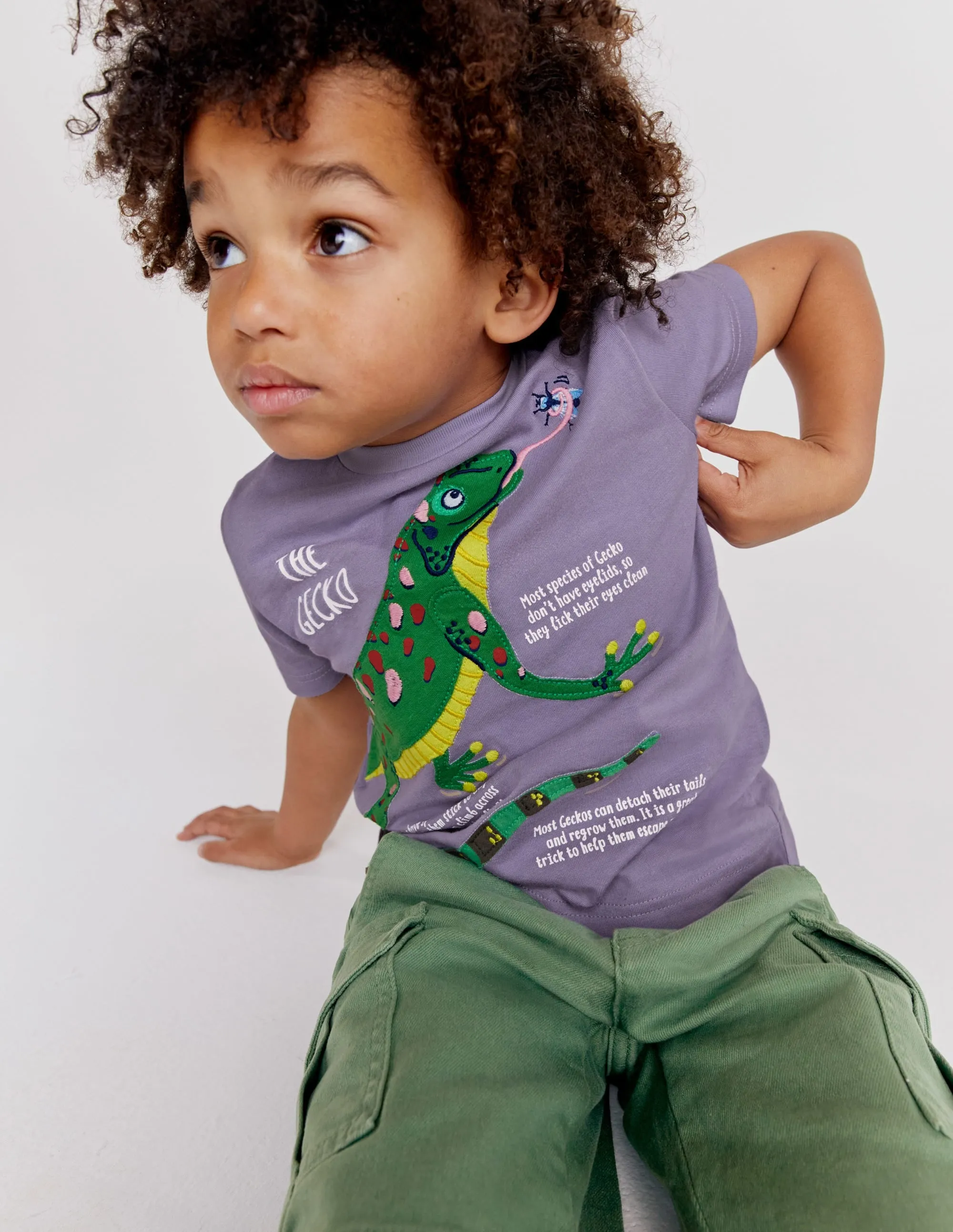 Animal Facts T-shirt-Misty Lavender Lizard