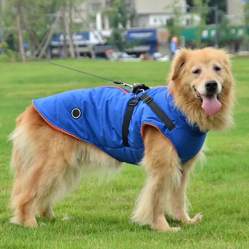 Pet Dog Winter Zipper Jacket With Buckle Waterproof Coat XS - 7XL Large